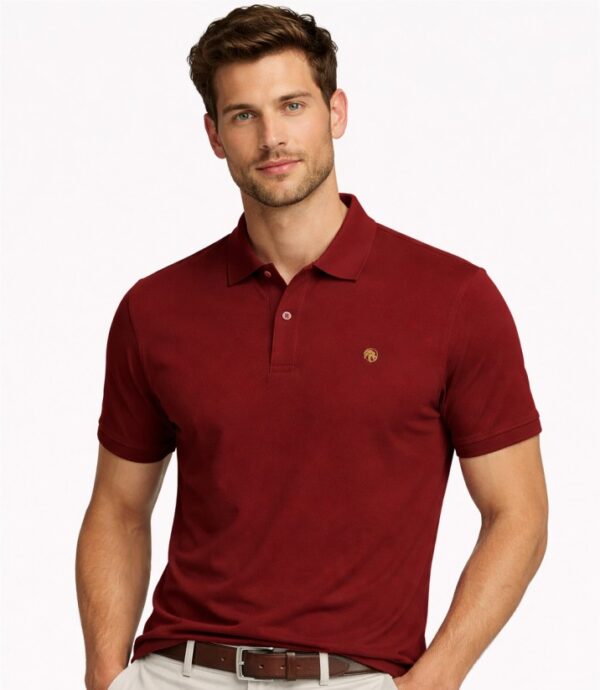 Men's Polo T Shirt
